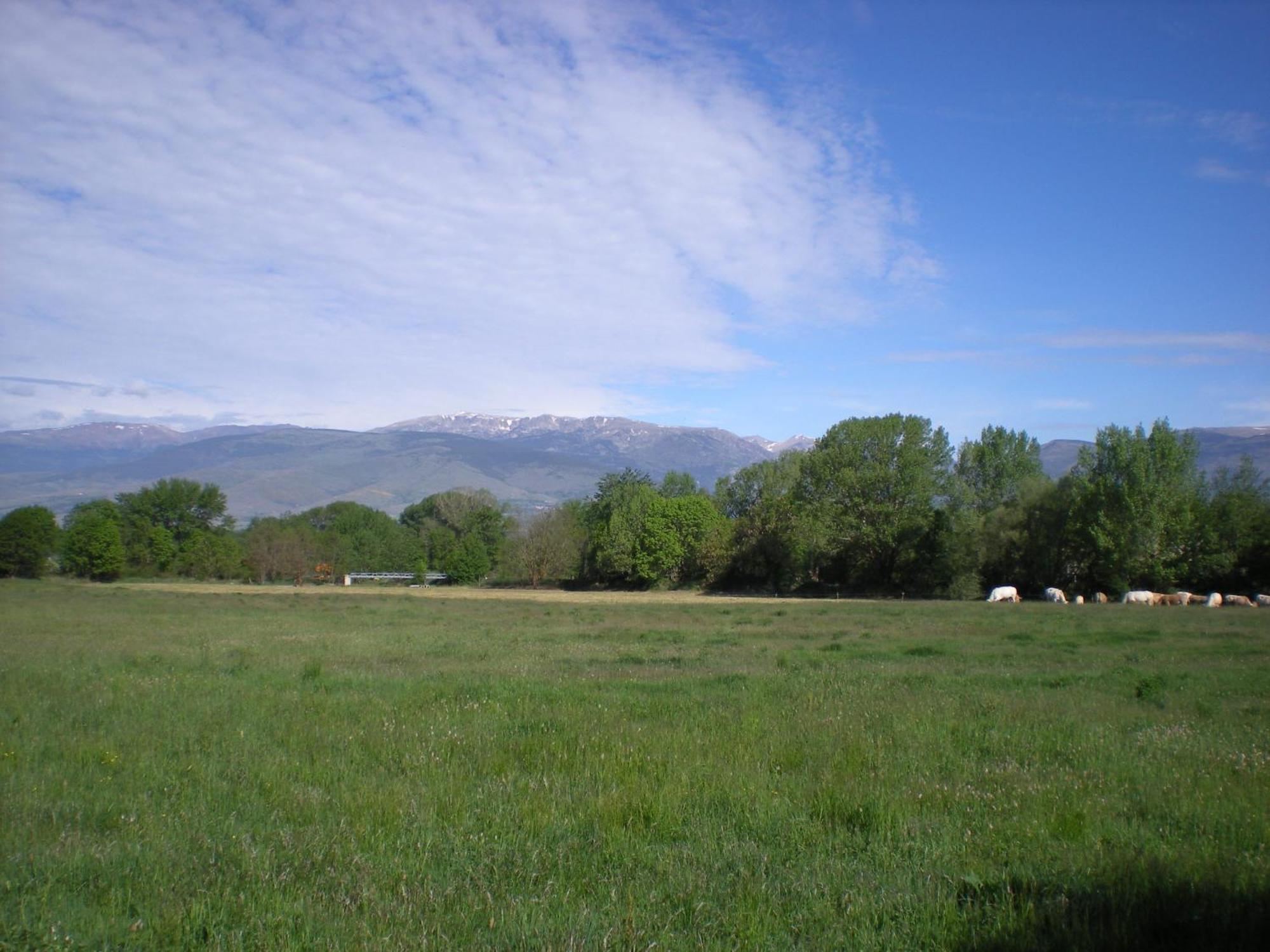 Camping Las Asperas*** Palau-de-Cerdagne Exteriér fotografie